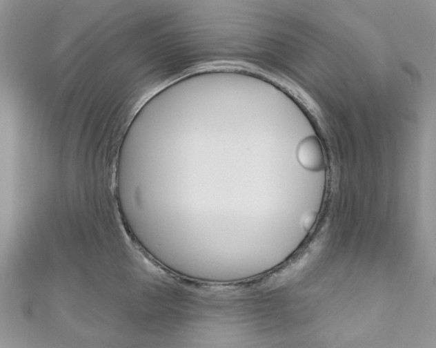 X0000111200953200907011027