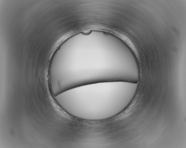 X0000111200954200907011027