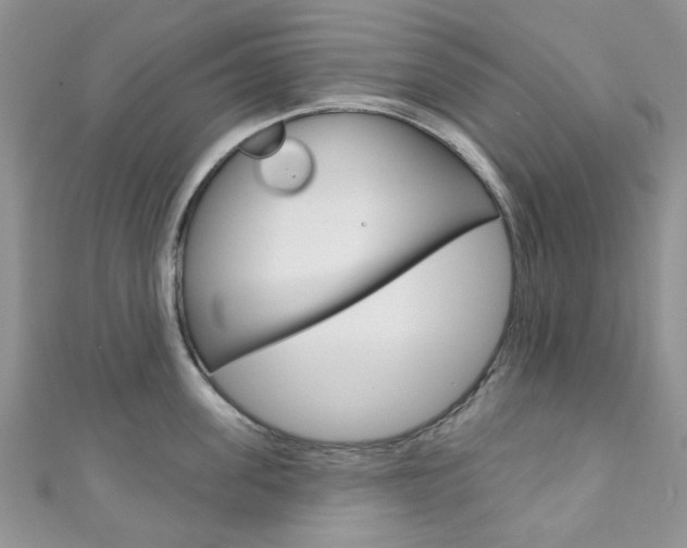 X0000111200955200907011027
