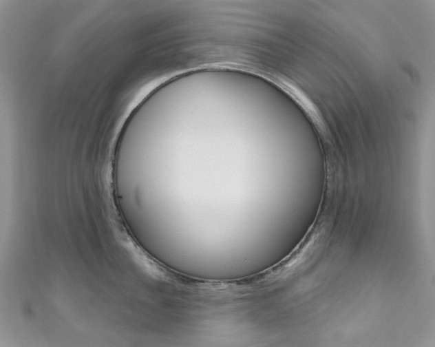 X0000111200956200907011027