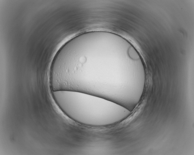 X0000111200957200907011027