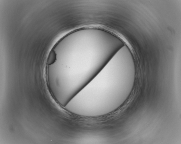 X0000111200959200907011027