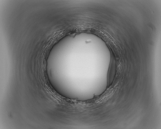 X0000111200961200907011026