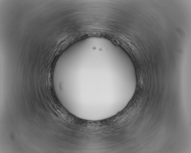 X0000111200964200907011026