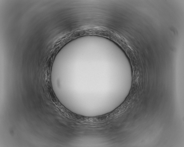 X0000111200966200907011026