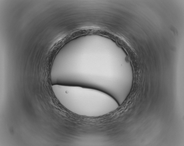 X0000111200967200907011026