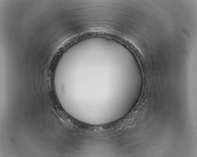 X0000111200968200907011026