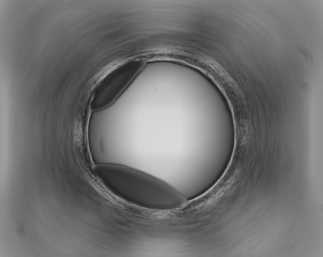 X0000111200969200907011026