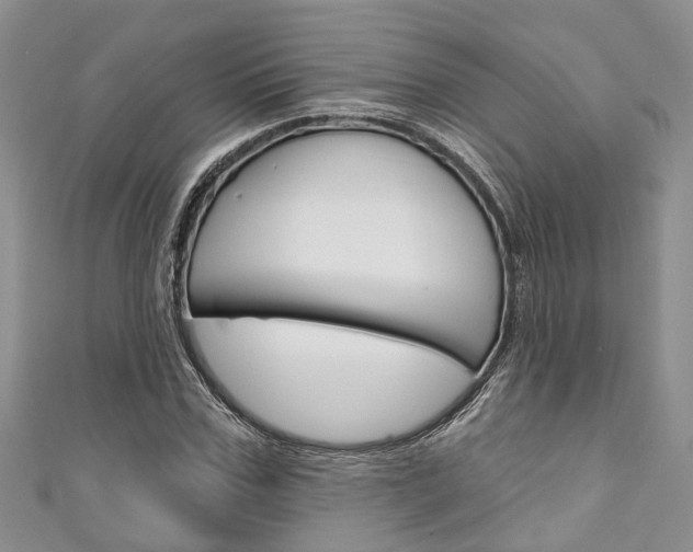 X0000111200971200907011026