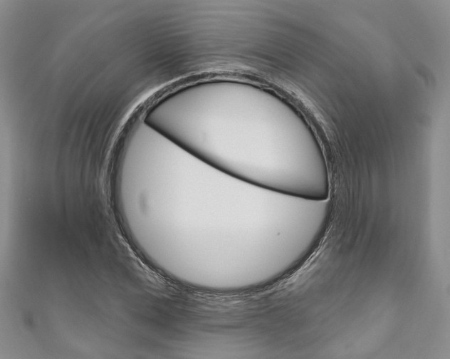 X0000111200975200907011026