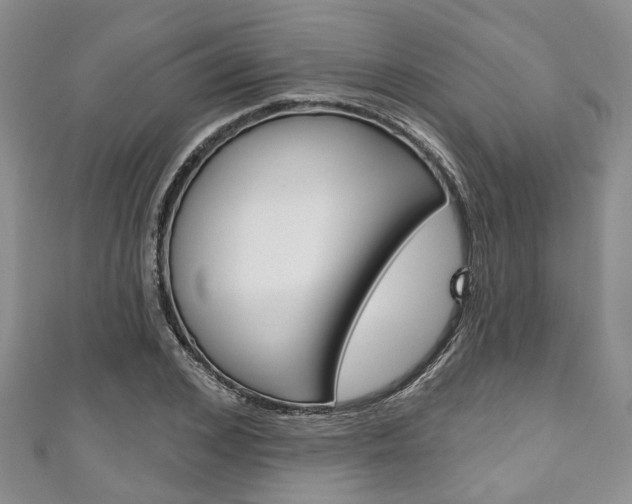 X0000111200976200907011026