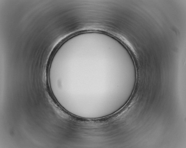 X0000111200980200907011026