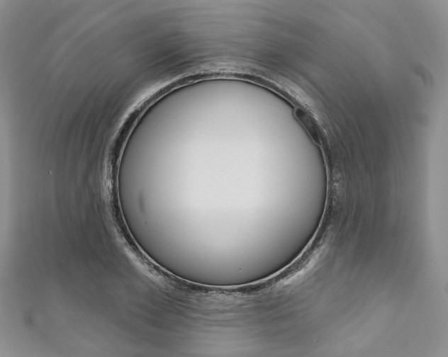 X0000111200981200907011026