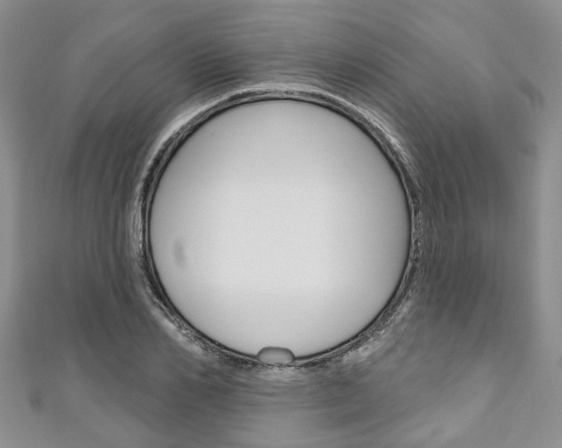 X0000111200982200907011026