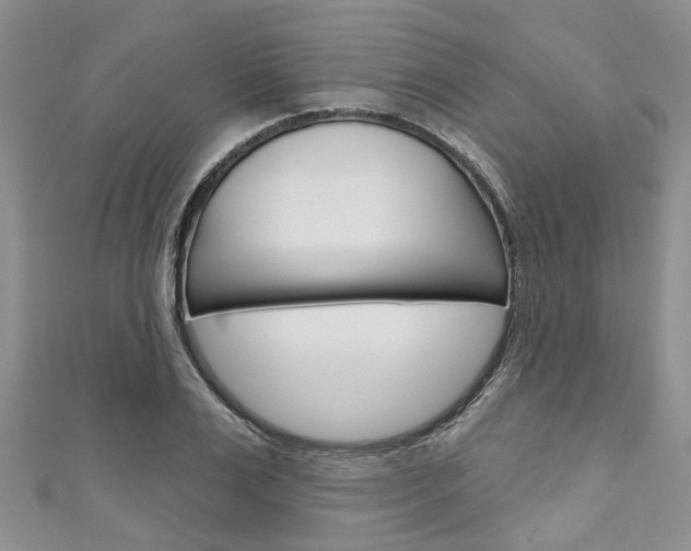 X0000111200983200907011026