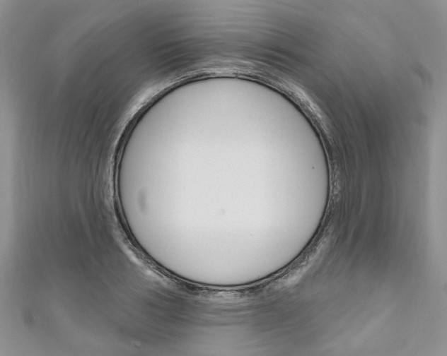 X0000111200986200907011026