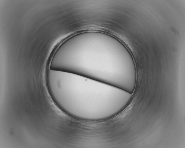 X0000111200987200907011026