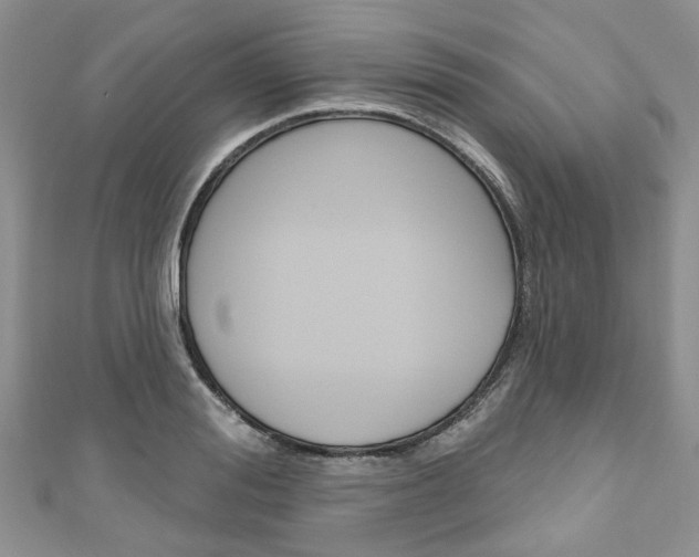 X0000111200988200907011026