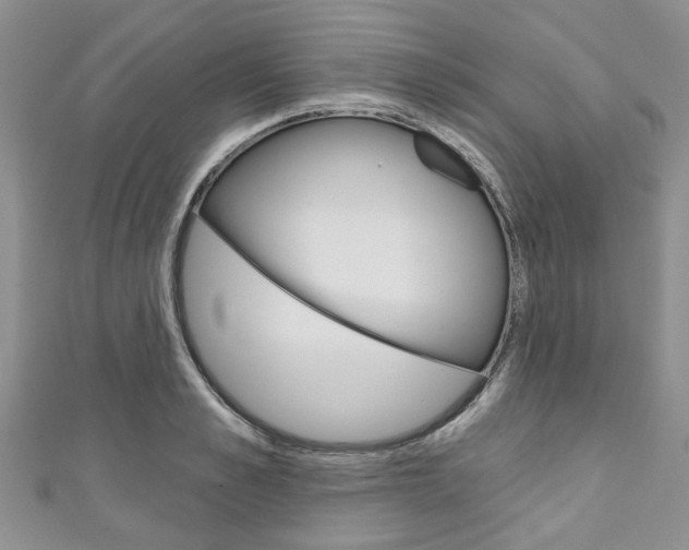 X0000111200989200907011026
