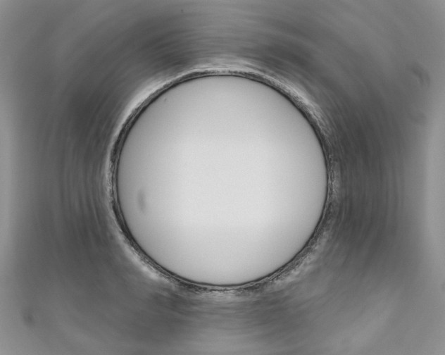 X0000111200990200907011026