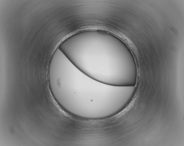 X0000111200993200907011026