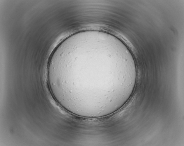 X0000111200994200907011026
