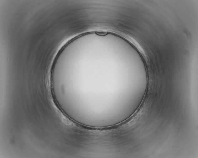 X0000111200996200907011026