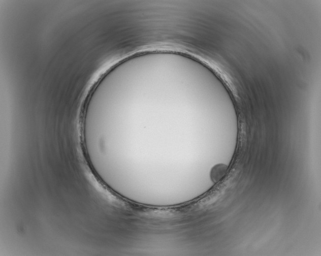 X0000111200998200907011026