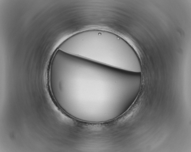 X0000111200999200907011026