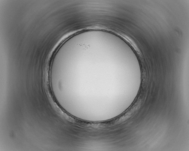 X0000111201000200907011026