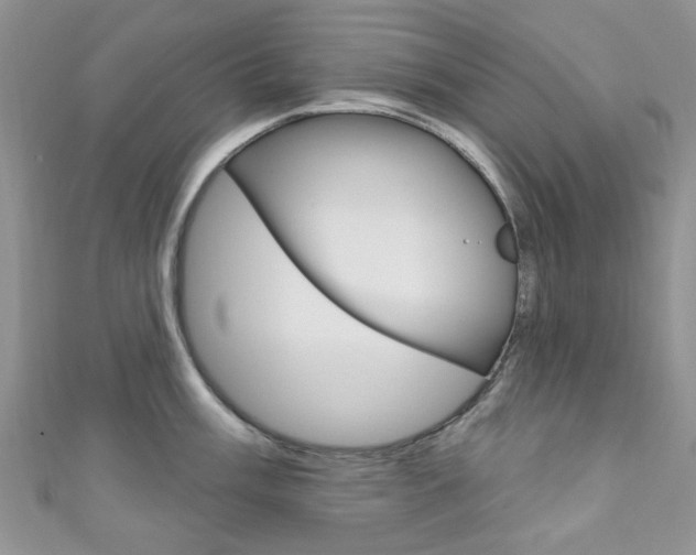X0000111201003200907011026