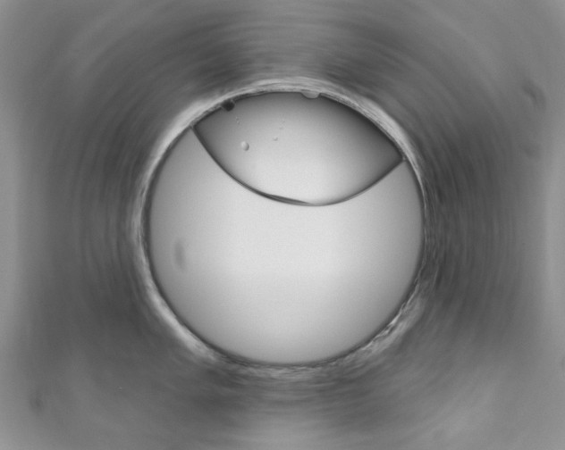 X0000111201005200907011026