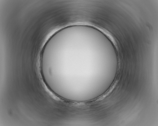 X0000111201006200907011026
