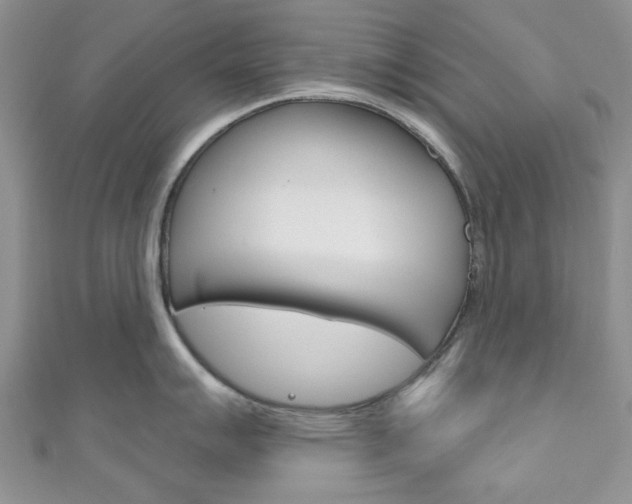 X0000111201007200907011026