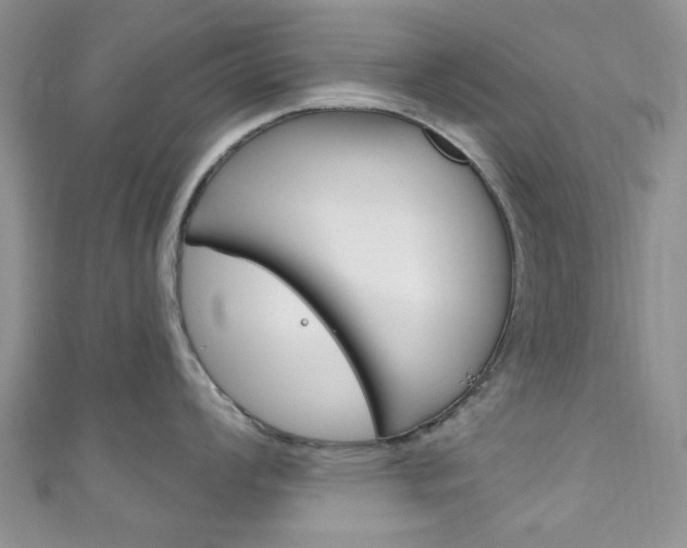 X0000111201008200907011026