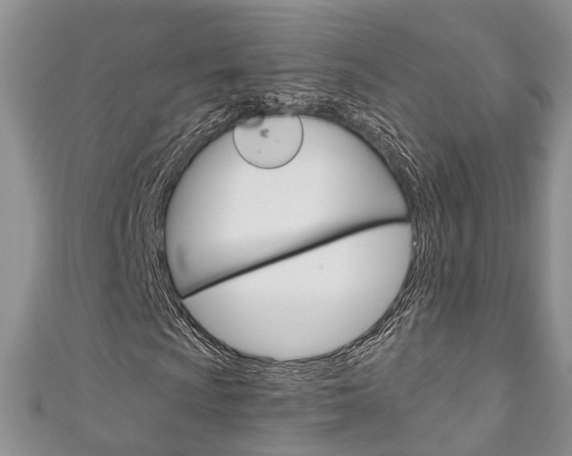 X0000111201009200907011025