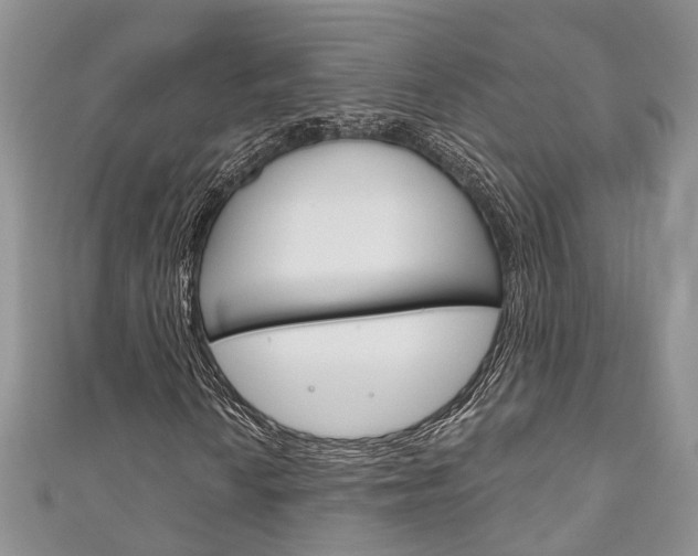 X0000111201010200907011025
