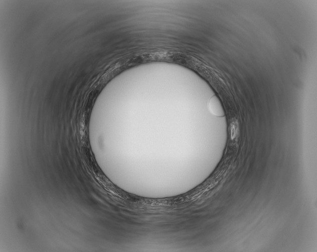 X0000111201011200907011025