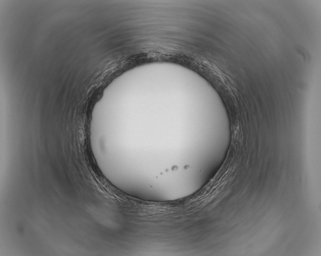 X0000111201012200907011025