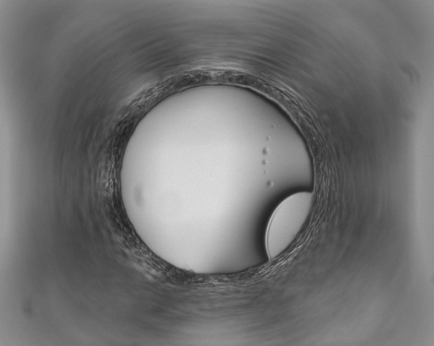X0000111201014200907011025
