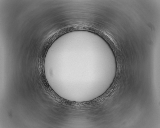 X0000111201015200907011025