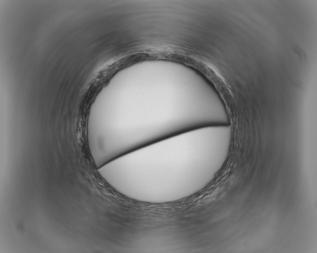 X0000111201016200907011025