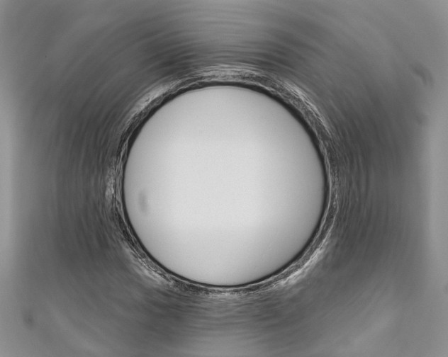 X0000111201017200907011025