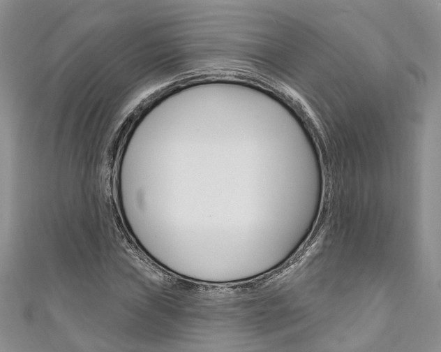 X0000111201019200907011025