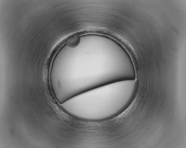 X0000111201021200907011025