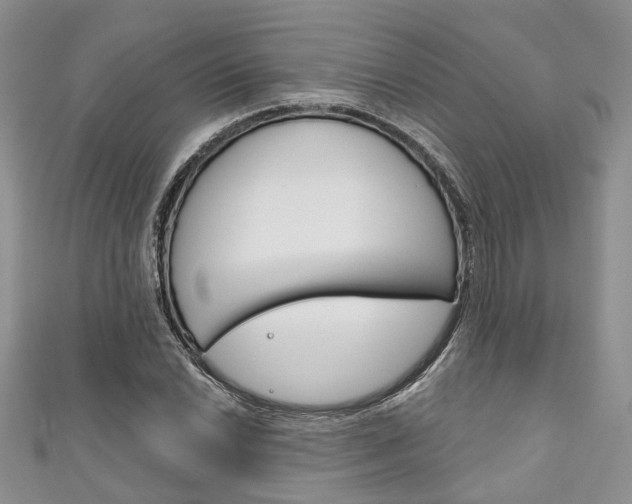 X0000111201022200907011025
