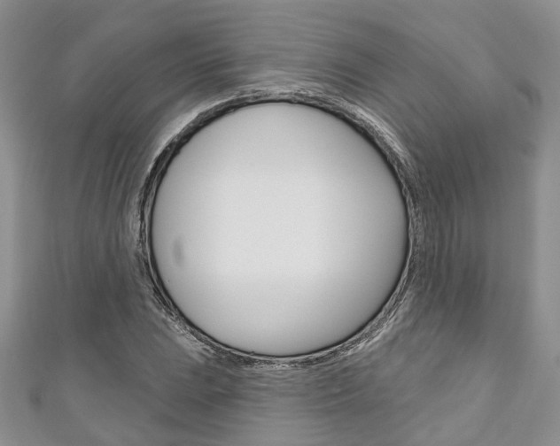 X0000111201023200907011025