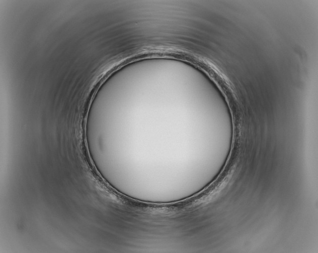 X0000111201025200907011025