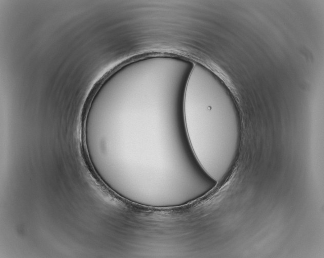 X0000111201028200907011025