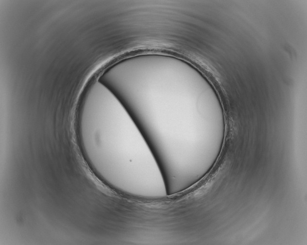X0000111201029200907011025
